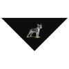 SOL'S Bandana Thumbnail